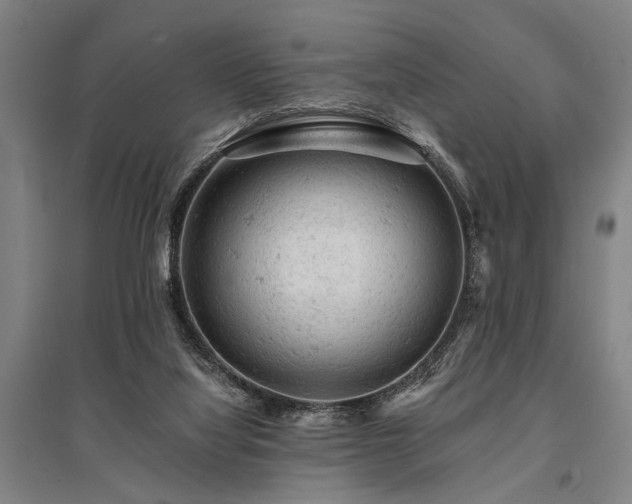 X0000095510068200712141433