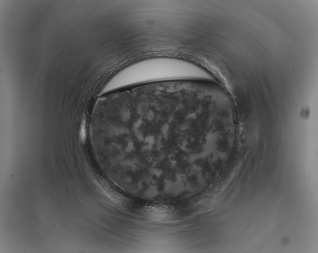 X0000095510069200712141433