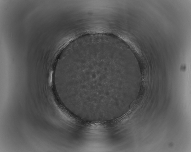 X0000095510070200712141433