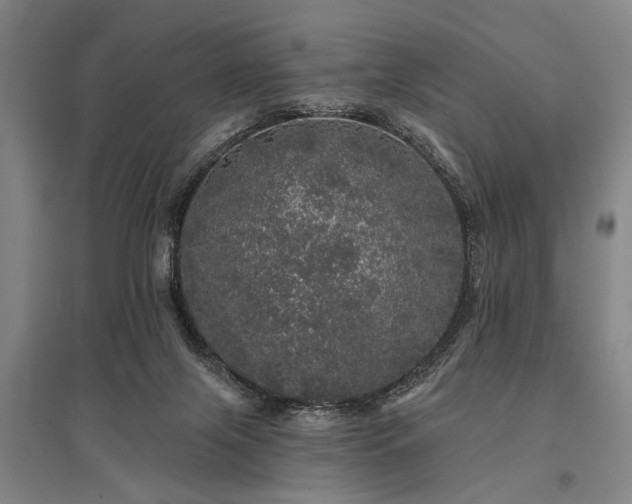 X0000095510071200712141433