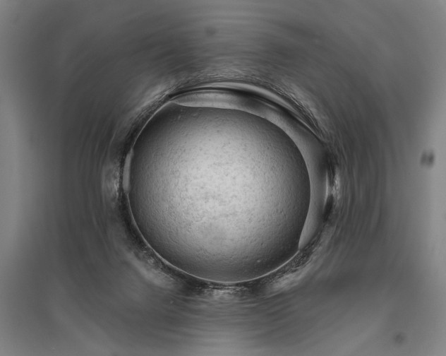 X0000095510072200712141433