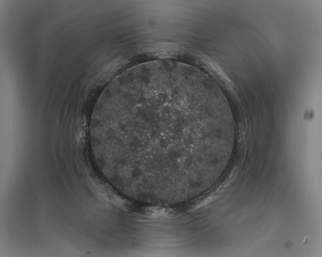X0000095510073200712141433