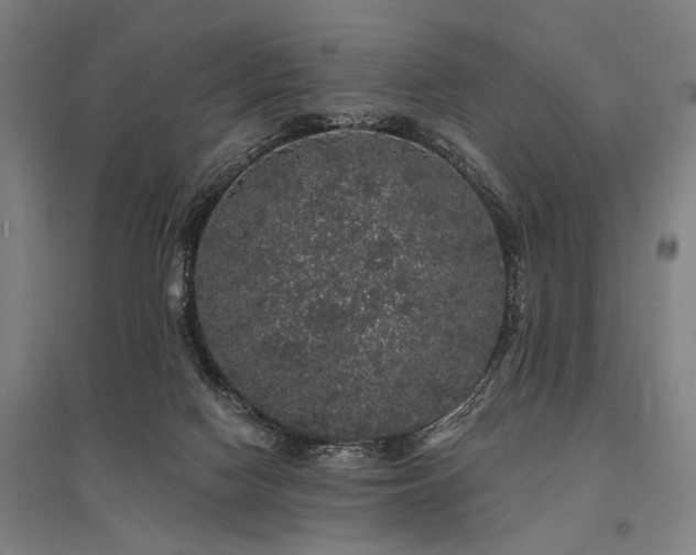 X0000095510074200712141433