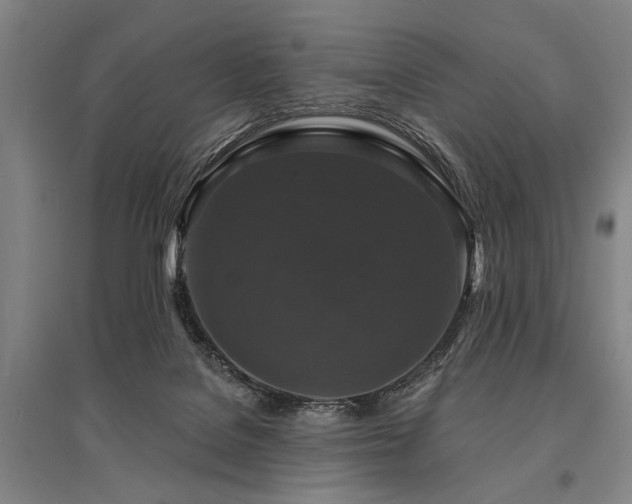 X0000095510076200712141433