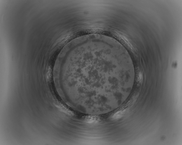 X0000095510077200712141433