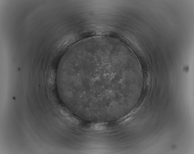 X0000095510078200712141433