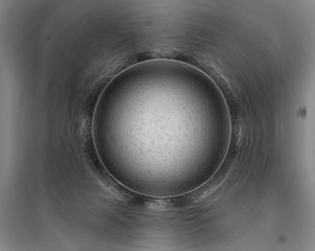 X0000095510079200712141433