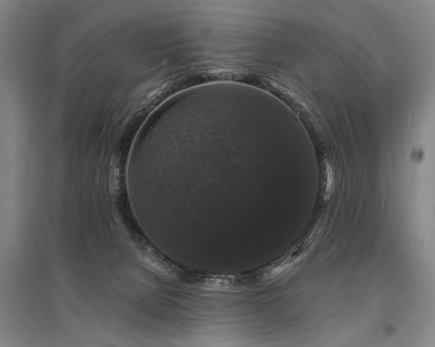 X0000095510080200712141433
