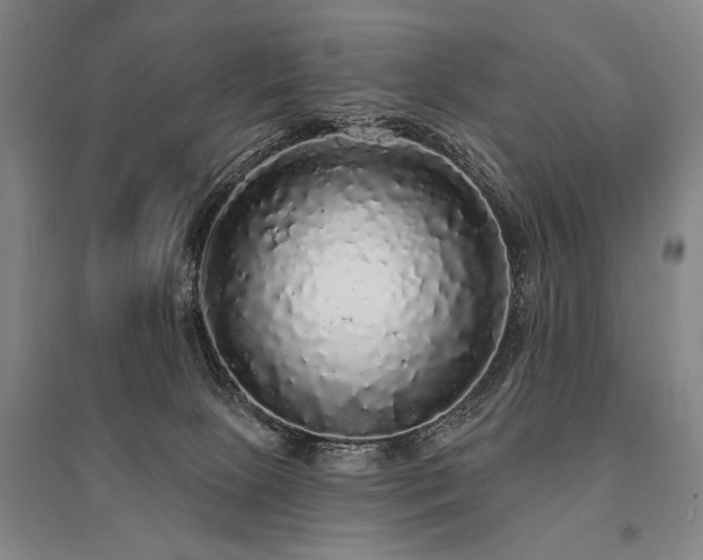 X0000095510081200712141433