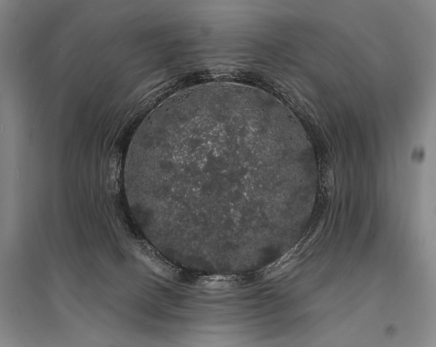 X0000095510082200712141433