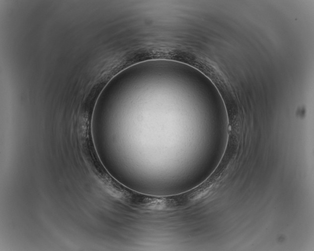 X0000095510083200712141433