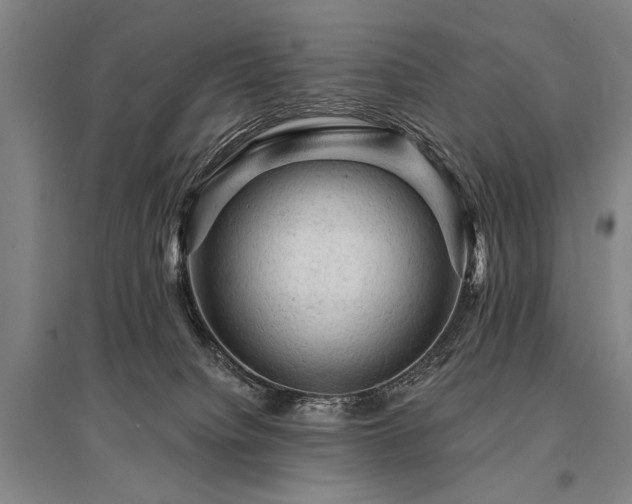 X0000095510084200712141433