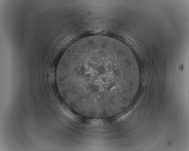 X0000095510085200712141433