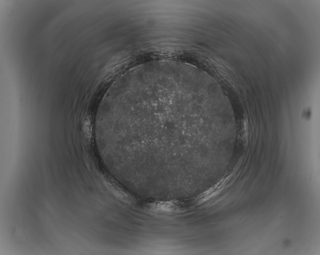 X0000095510086200712141433