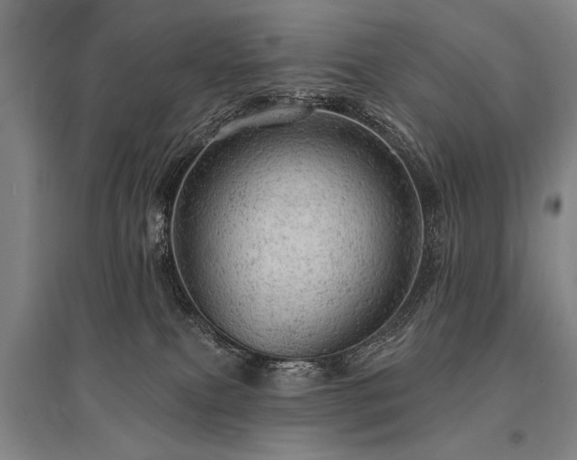 X0000095510087200712141433