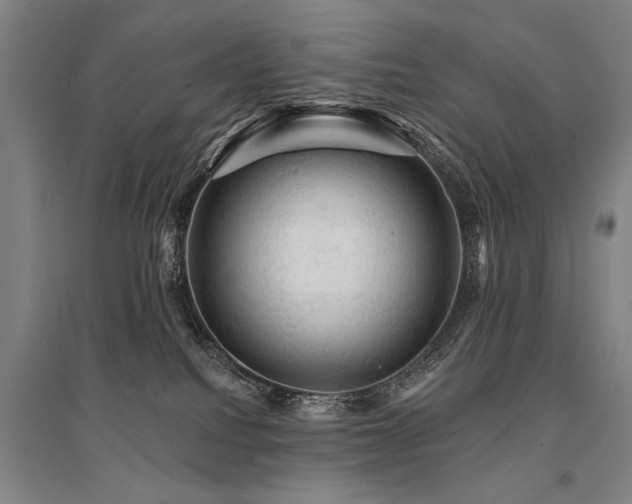 X0000095510088200712141433