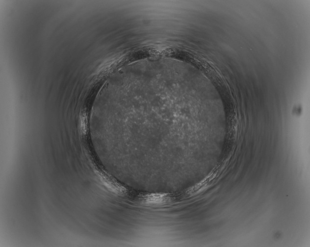 X0000095510090200712141433