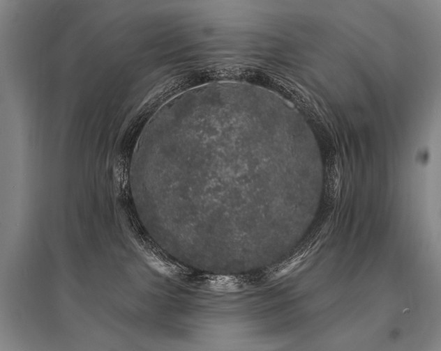 X0000095510091200712141433