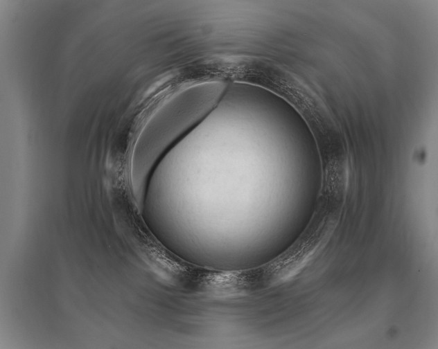 X0000095510092200712141433