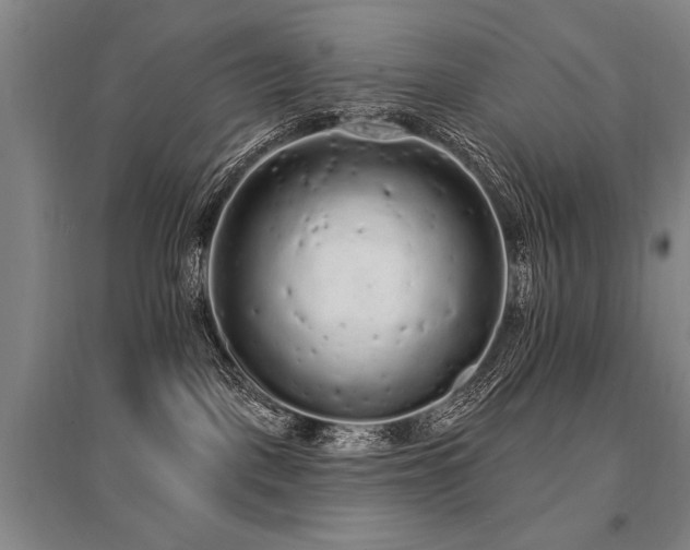X0000095510093200712141433