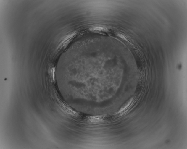 X0000095510094200712141433