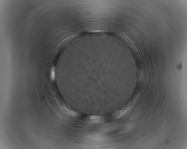 X0000095510095200712141433