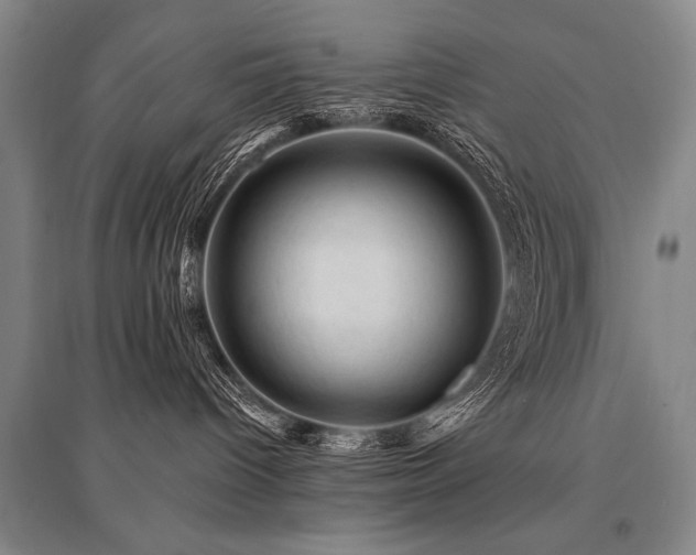 X0000095510096200712141433