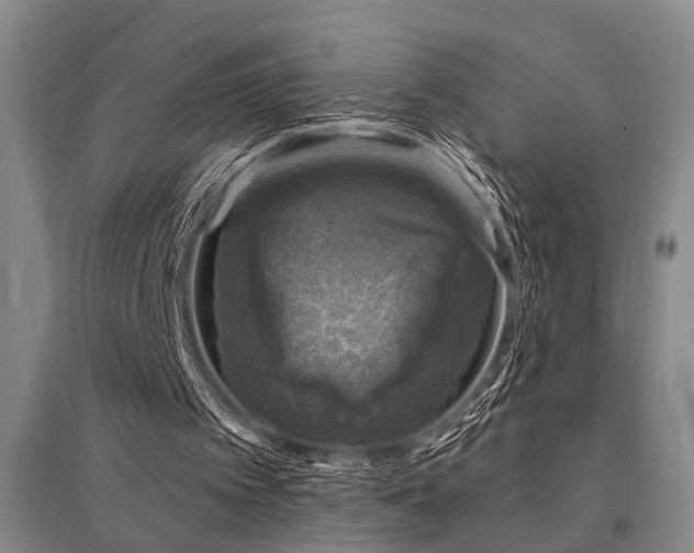 X0000095510097200712141432