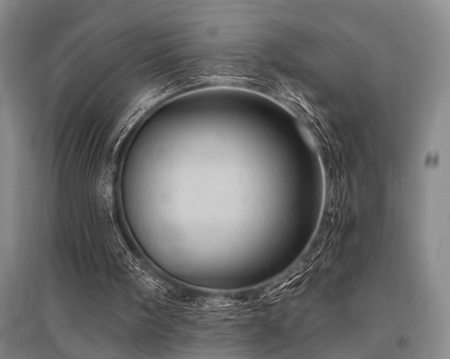 X0000095510098200712141432