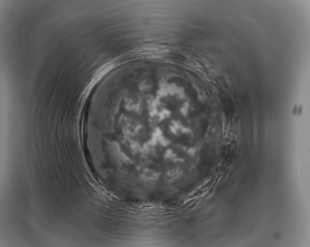 X0000095510099200712141432
