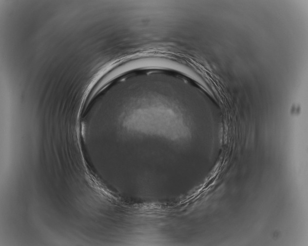 X0000095510100200712141432
