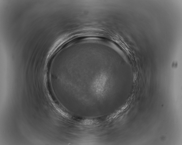 X0000095510101200712141432