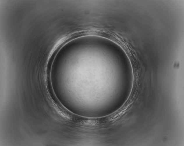 X0000095510102200712141432