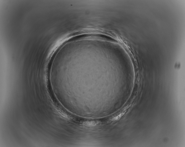 X0000095510103200712141432