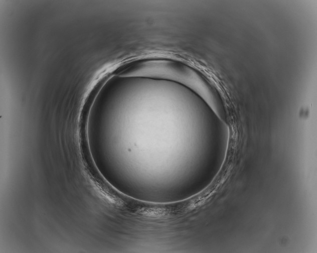 X0000095510104200712141432