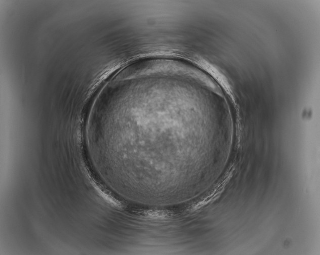X0000095510105200712141432