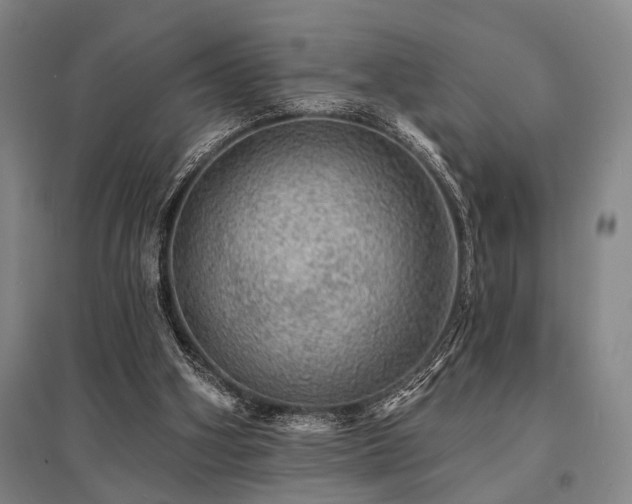 X0000095510106200712141432