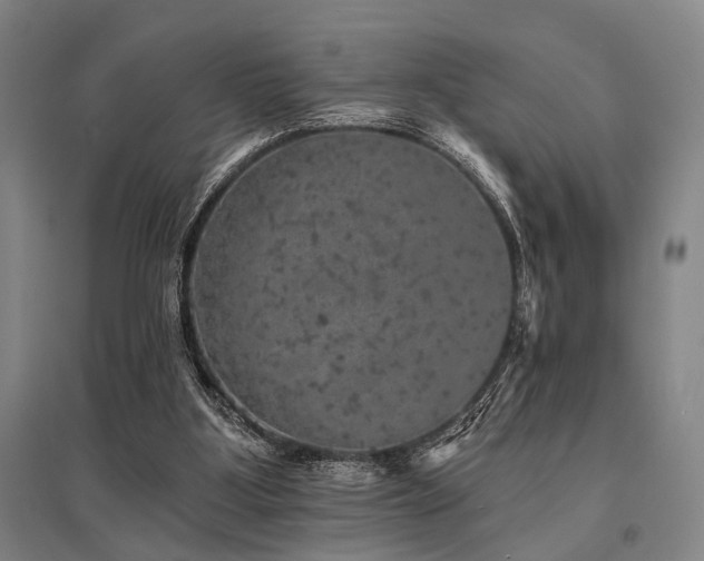 X0000095510107200712141432