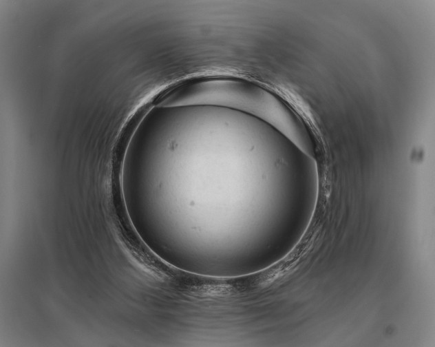 X0000095510108200712141432