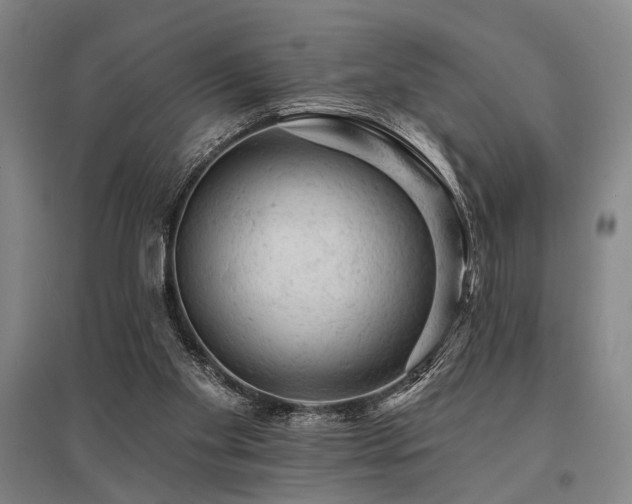 X0000095510109200712141432