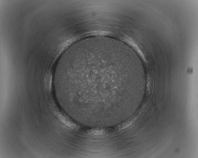X0000095510110200712141432