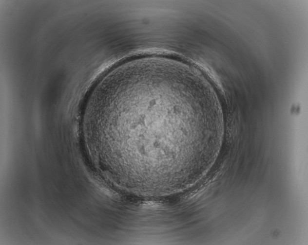 X0000095510111200712141432