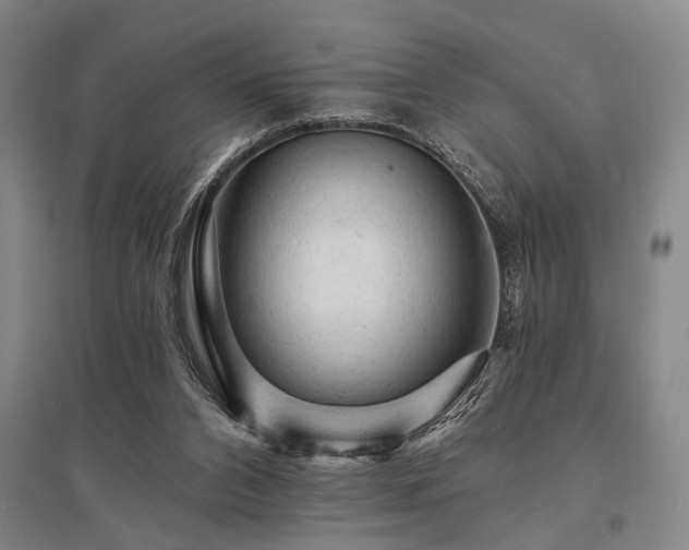 X0000095510112200712141432