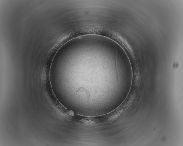 X0000095510113200712141432