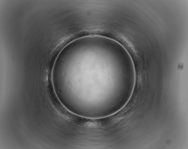 X0000095510115200712141432
