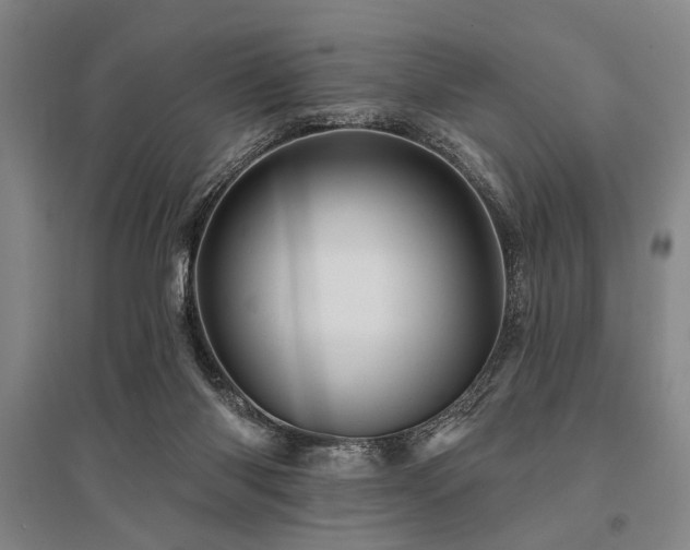 X0000095510118200712141432
