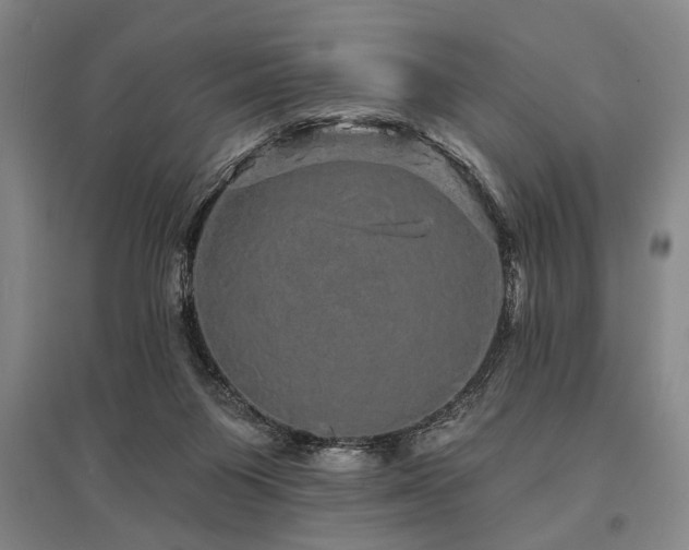 X0000095510119200712141432