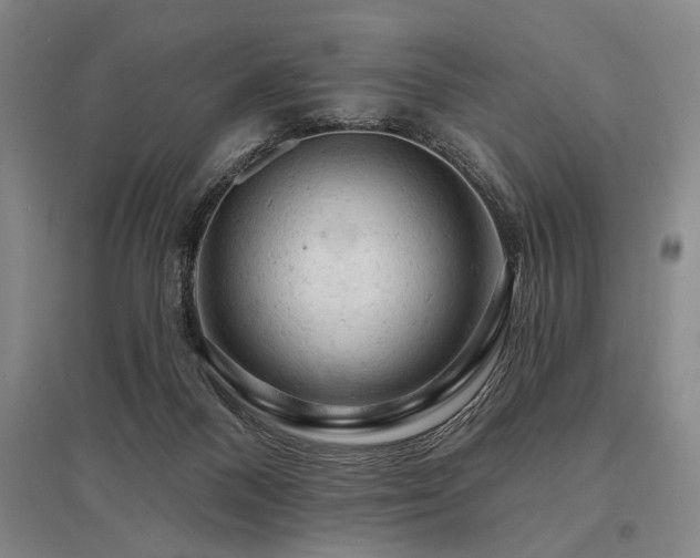 X0000095510120200712141432