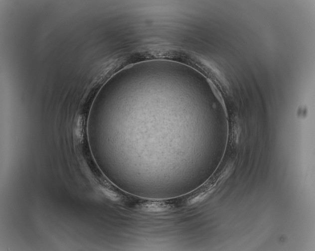X0000095510121200712141432