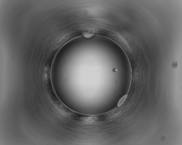 X0000095510122200712141432